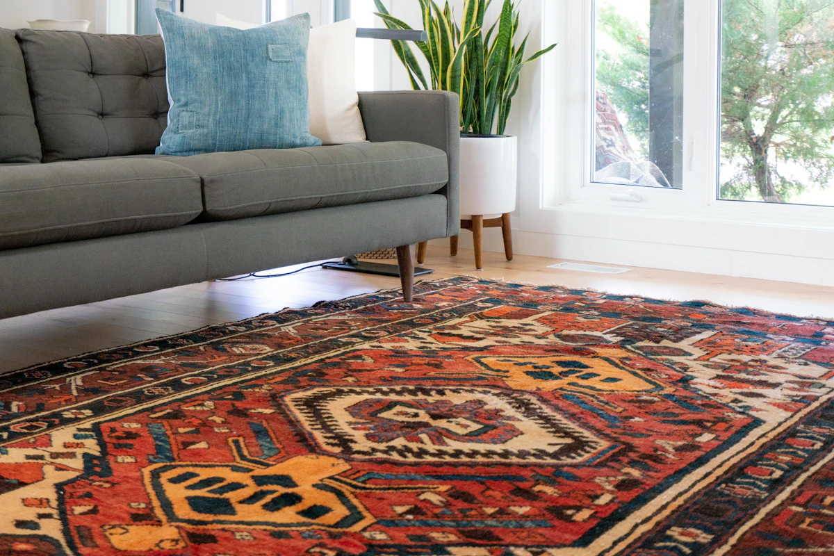 Patterned rug in a bright living room
